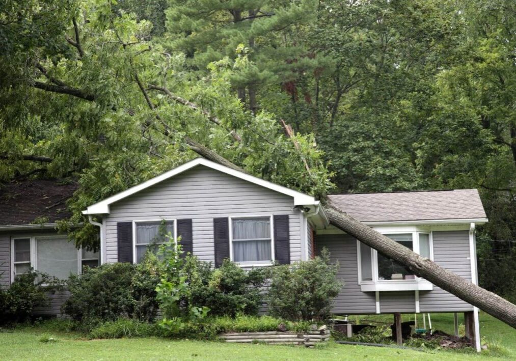 tree falling in roof stockton - emergency roof repair